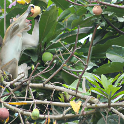 Con khỉ đang hái trái cây trên cành cây