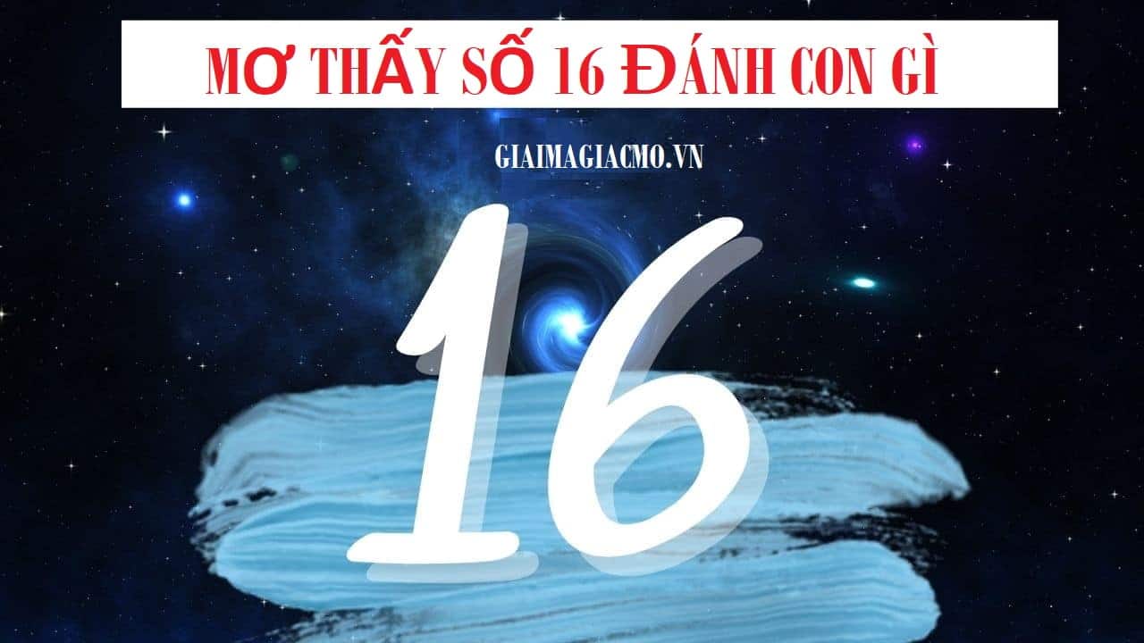 Ý Nghĩa Giấc Mơ Thấy Số 16 Bạn Không Nên Bỏ Qua