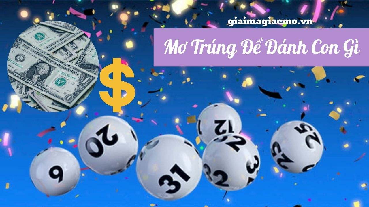 Ý Nghĩa Giấc Mơ Trúng Đề Đánh Con Gì Và Con Số May Mắn