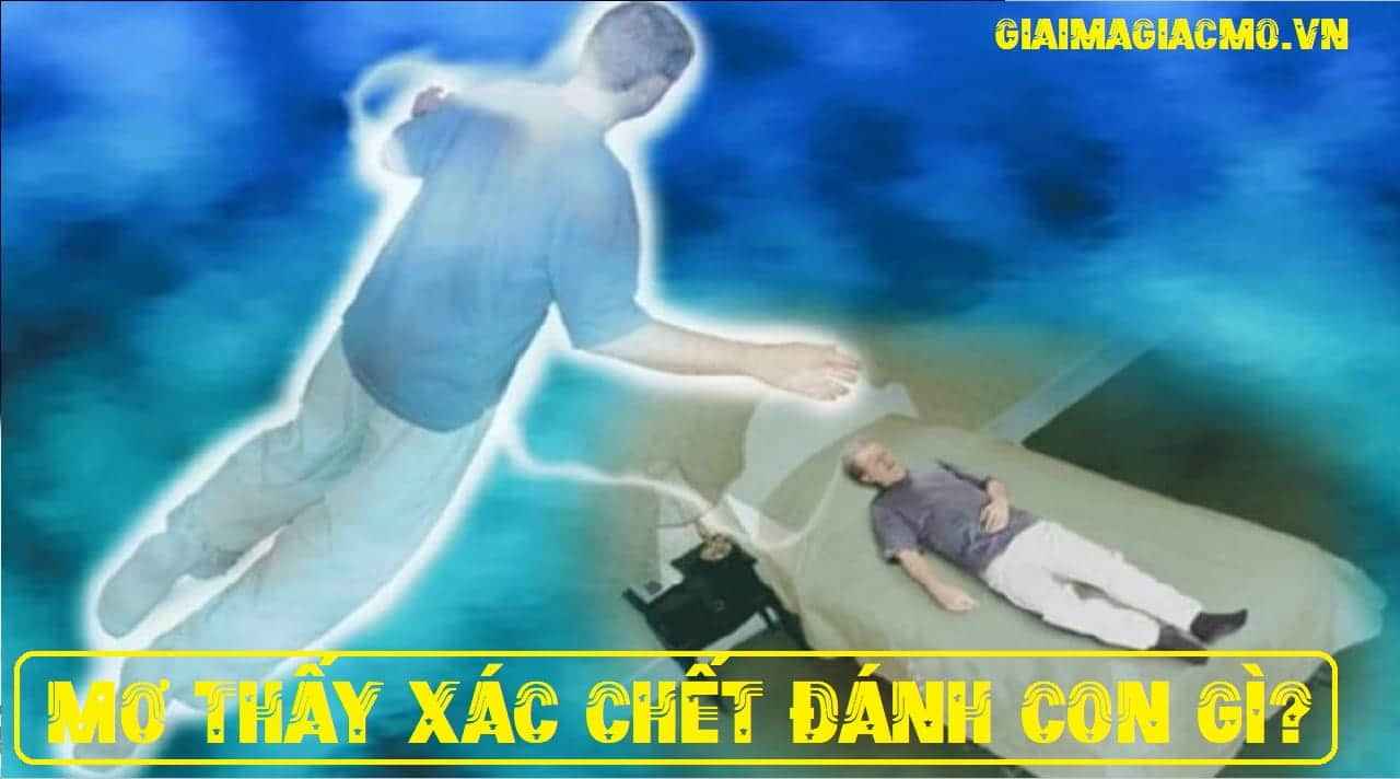 Mơ Gặp Xác Chết Đánh Con Gì